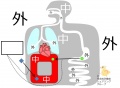 2015年3月20日 (金) 16:49時点における版のサムネイル