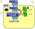 2013年2月27日 (水) 10:20時点における版のサムネイル