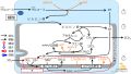 2022年7月1日 (金) 11:46時点における版のサムネイル