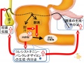 2013年2月27日 (水) 10:03時点における版のサムネイル