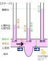 2013年7月22日 (月) 14:15時点における版のサムネイル