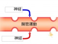 2015年3月11日 (水) 16:26時点における版のサムネイル