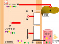 2015年11月15日 (日) 13:24時点における版のサムネイル