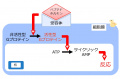 2013年2月27日 (水) 10:24時点における版のサムネイル