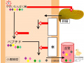 2015年11月15日 (日) 13:26時点における版のサムネイル