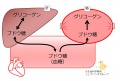 2014年11月21日 (金) 16:40時点における版のサムネイル