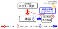 2017年3月2日 (木) 11:49時点における版のサムネイル