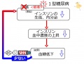2013年2月27日 (水) 10:22時点における版のサムネイル