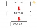 2016年11月23日 (水) 10:21時点における版のサムネイル