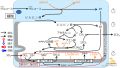 2022年7月3日 (日) 11:03時点における版のサムネイル