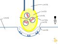 2024年3月6日 (水) 00:44時点における版のサムネイル