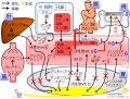2016年3月28日 (月) 15:27時点における版のサムネイル