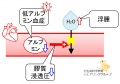 2015年9月23日 (水) 00:40時点における版のサムネイル