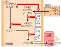 2013年4月2日 (火) 17:51時点における版のサムネイル