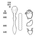 2017年2月21日 (火) 10:10時点における版のサムネイル