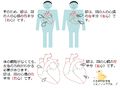 2013年3月22日 (金) 00:03時点における版のサムネイル