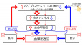 2020年1月8日 (水) 15:25時点における版のサムネイル