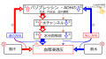 2020年1月27日 (月) 15:55時点における版のサムネイル