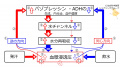 2020年8月10日 (月) 07:36時点における版のサムネイル