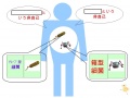2015年3月25日 (水) 15:26時点における版のサムネイル
