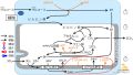 2022年7月1日 (金) 11:17時点における版のサムネイル
