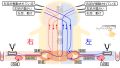 2025年3月10日 (月) 15:44時点における版のサムネイル