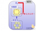 2013年7月11日 (木) 11:13時点における版のサムネイル