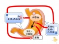 2015年3月11日 (水) 16:53時点における版のサムネイル