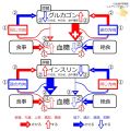 2022年1月2日 (日) 08:03時点における版のサムネイル