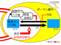 2020年5月28日 (木) 13:03時点における版のサムネイル