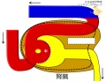 2013年7月25日 (木) 14:52時点における版のサムネイル