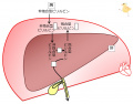 2015年3月26日 (木) 10:48時点における版のサムネイル