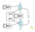 2015年3月25日 (水) 15:37時点における版のサムネイル