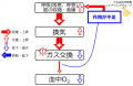 2017年6月2日 (金) 09:25時点における版のサムネイル