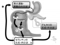 2016年3月14日 (月) 17:24時点における版のサムネイル
