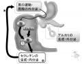 2016年3月14日 (月) 17:55時点における版のサムネイル
