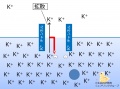 2014年7月18日 (金) 16:24時点における版のサムネイル