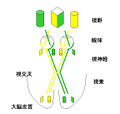 2011年4月7日 (木) 23:13時点における版のサムネイル