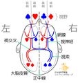 2014年8月21日 (木) 11:19時点における版のサムネイル