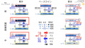 2020年2月15日 (土) 16:51時点における版のサムネイル