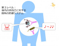 2013年2月27日 (水) 10:08時点における版のサムネイル
