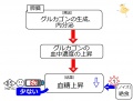 2013年2月27日 (水) 10:06時点における版のサムネイル
