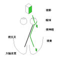 2011年4月7日 (木) 23:13時点における版のサムネイル