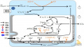 2022年6月3日 (金) 11:29時点における版のサムネイル