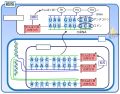 2024年3月5日 (火) 09:32時点における版のサムネイル