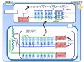 2024年3月5日 (火) 22:46時点における版のサムネイル