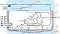 2022年6月10日 (金) 11:28時点における版のサムネイル