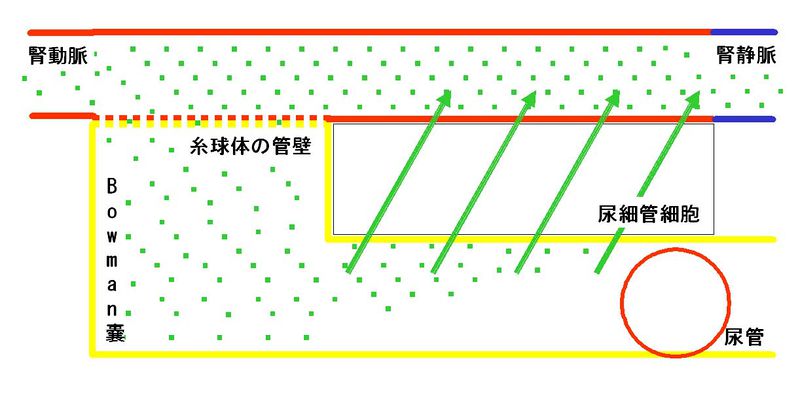 ファイル:00276.jpg