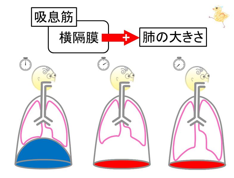 ファイル:03447.jpg