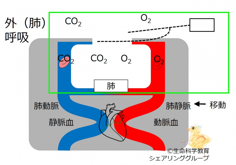 ファイル:03452-wb.jpg